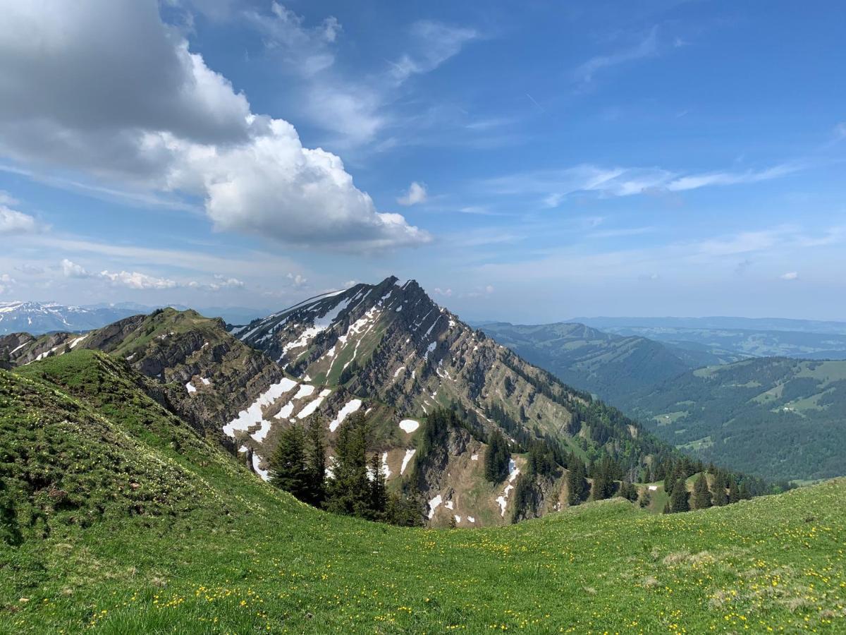 Staufen Herz Oberstaufen Dış mekan fotoğraf